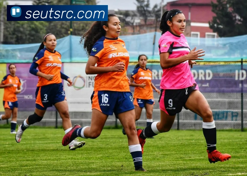 多媒体互动体验